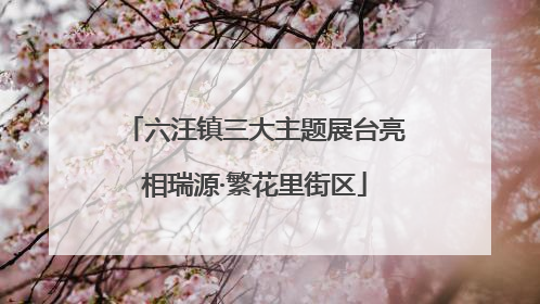 六汪镇三大主题展台亮相瑞源·繁花里街区