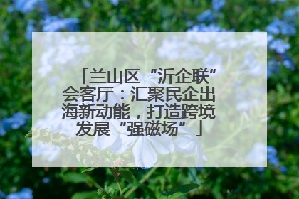 兰山区“沂企联”会客厅：汇聚民企出海新动能，打造跨境发展“强磁场”