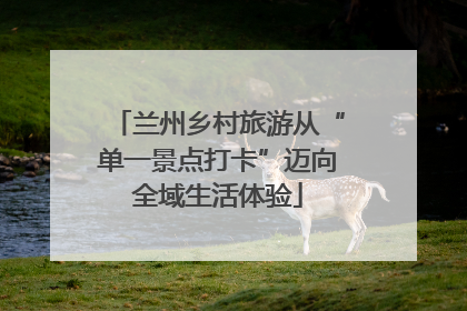 兰州乡村旅游从“单一景点打卡”迈向全域生活体验