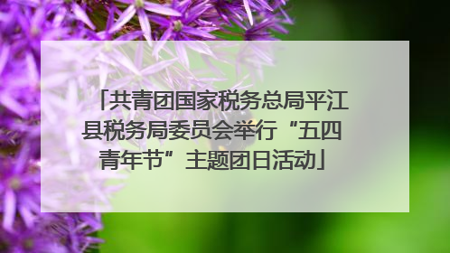 共青团国家税务总局平江县税务局委员会举行“五四青年节”主题团日活动