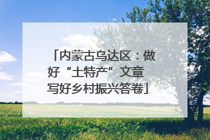 内蒙古乌达区：做好“土特产”文章 写好乡村振兴答卷
