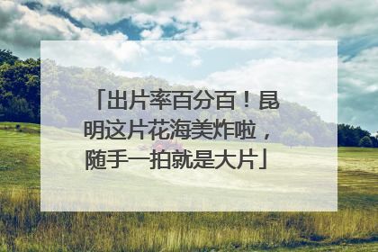 出片率百分百！昆明这片花海美炸啦，随手一拍就是大片