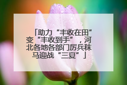 助力“丰收在田”变“丰收到手”，河北各地各部门厉兵秣马迎战“三夏”
