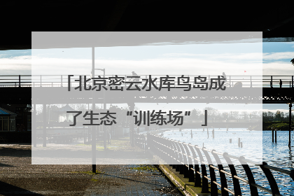 北京密云水库鸟岛成了生态“训练场”