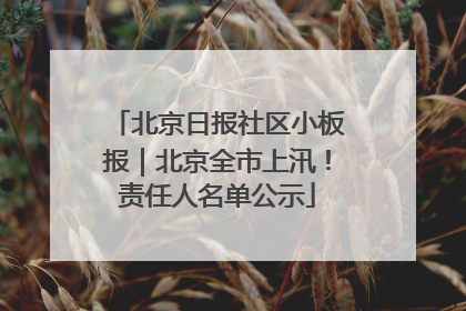 北京日报社区小板报｜北京全市上汛！责任人名单公示