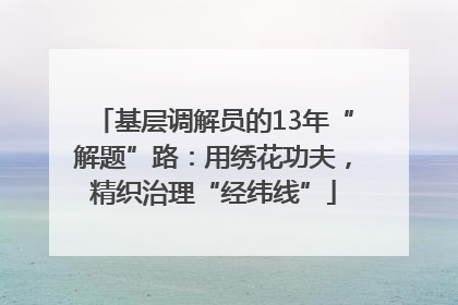 基层调解员的13年“解题”路：用绣花功夫，精织治理“经纬线”