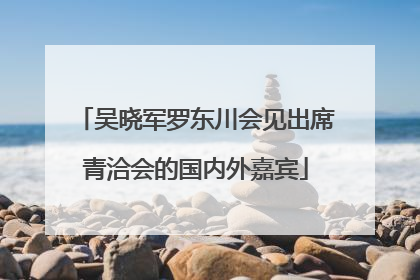 吴晓军罗东川会见出席青洽会的国内外嘉宾