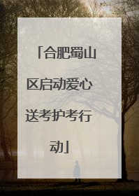 合肥蜀山区启动爱心送考护考行动
