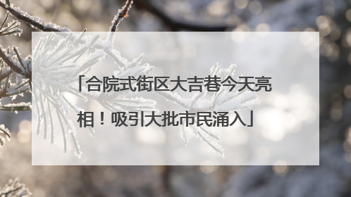 合院式街区大吉巷今天亮相！吸引大批市民涌入