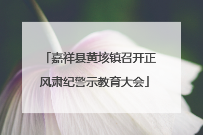 嘉祥县黄垓镇召开正风肃纪警示教育大会