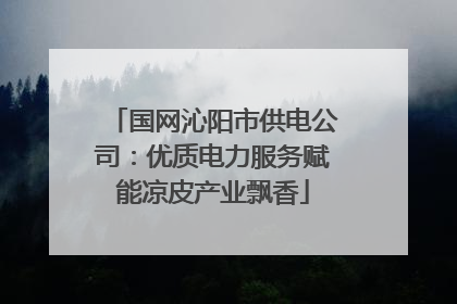 国网沁阳市供电公司：优质电力服务赋能凉皮产业飘香