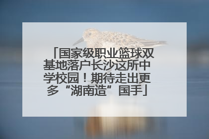 国家级职业篮球双基地落户长沙这所中学校园！期待走出更多“湖南造”国手