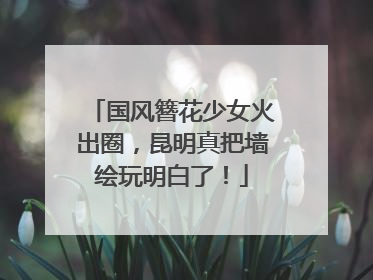 国风簪花少女火出圈，昆明真把墙绘玩明白了！