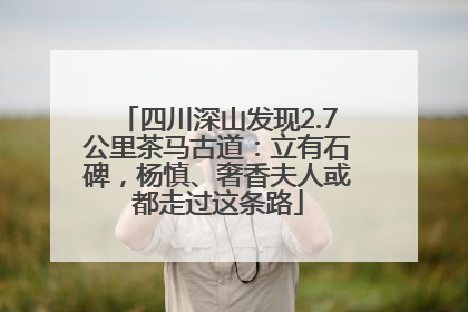 四川深山发现2.7公里茶马古道：立有石碑，杨慎、奢香夫人或都走过这条路