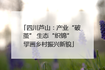 四川芦山：产业“破茧” 生态“织锦” 擘画乡村振兴新貌