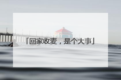 回家收麦，是个大事