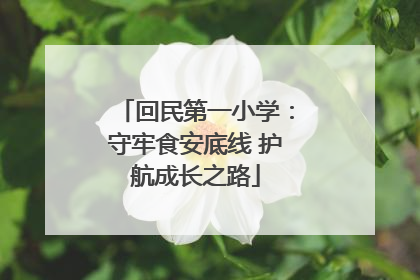 回民第一小学：守牢食安底线 护航成长之路