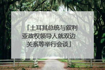 土耳其总统与叙利亚政权领导人就双边关系等举行会谈