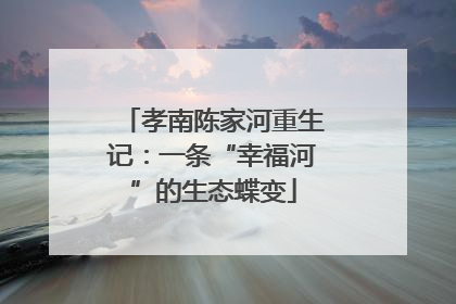 孝南陈家河重生记：一条“幸福河”的生态蝶变