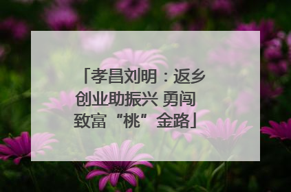孝昌刘明：返乡创业助振兴 勇闯致富“桃”金路