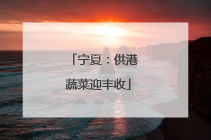 宁夏：供港蔬菜迎丰收