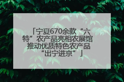 宁夏670余款“六特”农产品亮相农展馆 推动优质特色农产品“出宁进京”