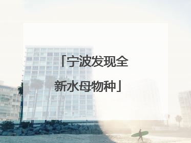 宁波发现全新水母物种