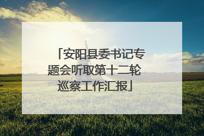 安阳县委书记专题会听取第十二轮巡察工作汇报