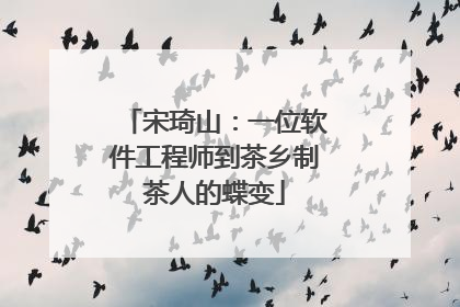 宋琦山：一位软件工程师到茶乡制茶人的蝶变