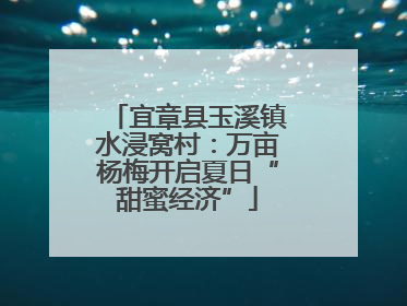 宜章县玉溪镇水浸窝村：万亩杨梅开启夏日“甜蜜经济”