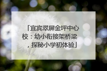 宜宾翠屏金坪中心校：幼小衔接架桥梁，探秘小学初体验