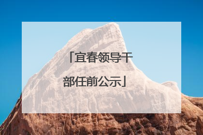 宜春领导干部任前公示