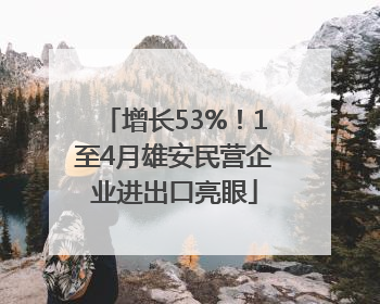增长53%！1至4月雄安民营企业进出口亮眼