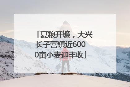 夏粮开镰，大兴长子营镇近6000亩小麦迎丰收