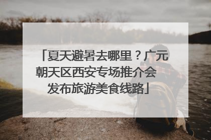 夏天避暑去哪里？广元朝天区西安专场推介会 发布旅游美食线路