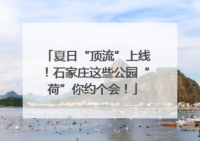 夏日“顶流”上线！石家庄这些公园“荷”你约个会！