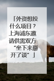 外资想投什么项目？上海浦东邀请供需双方“坐下来掰开了谈”
