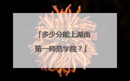 多少分能上湖南第一师范学院？