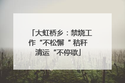 大虹桥乡：禁烧工作“不松懈“ 秸秆清运“不停歇