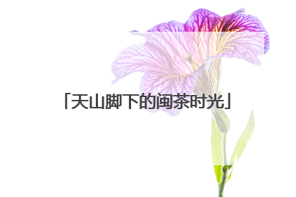 天山脚下的闽茶时光
