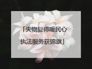 失物复得暖民心 执法服务获锦旗