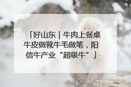 好山东｜牛肉上餐桌牛皮做靴牛毛做笔，阳信牛产业“超级牛”