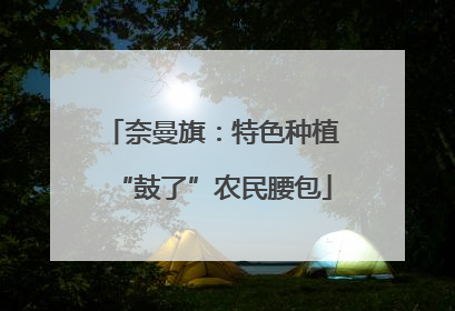 奈曼旗：特色种植“鼓了”农民腰包