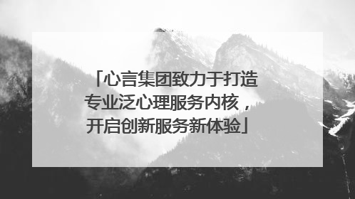 心言集团致力于打造专业泛心理服务内核，开启创新服务新体验