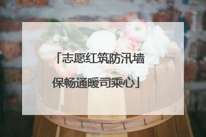 志愿红筑防汛墙 保畅通暖司乘心