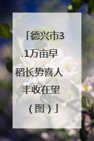 德兴市3.1万亩早稻长势喜人 丰收在望（图）