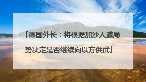 德国外长：将根据加沙人道局势决定是否继续向以方供武