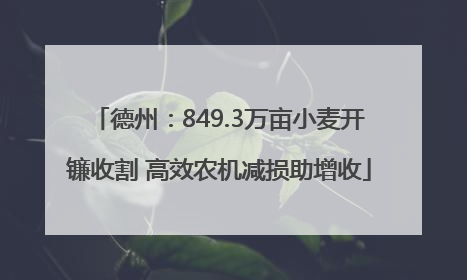 德州：849.3万亩小麦开镰收割 高效农机减损助增收