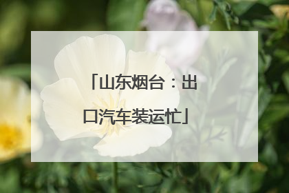山东烟台：出口汽车装运忙