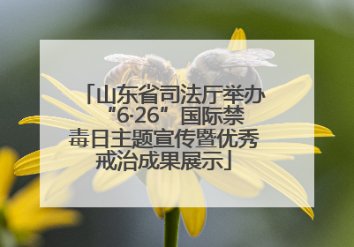 山东省司法厅举办“6·26”国际禁毒日主题宣传暨优秀戒治成果展示